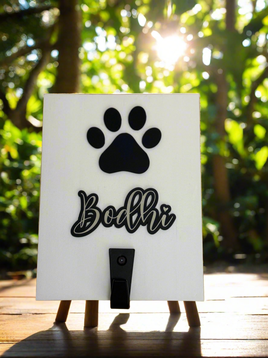 Pet Gift Box